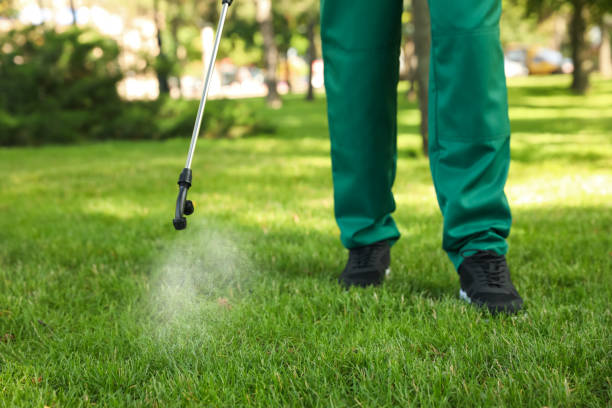Best Insect Control  in Ellisburg, NJ