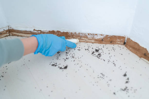 Best Cockroach Control Services  in Ellisburg, NJ