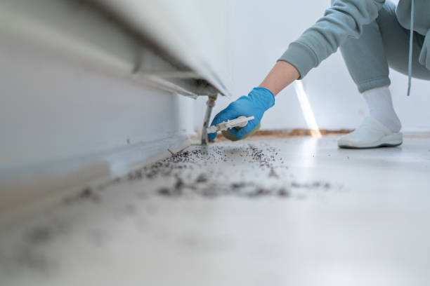 Best Best Pest Control Companies  in Ellisburg, NJ