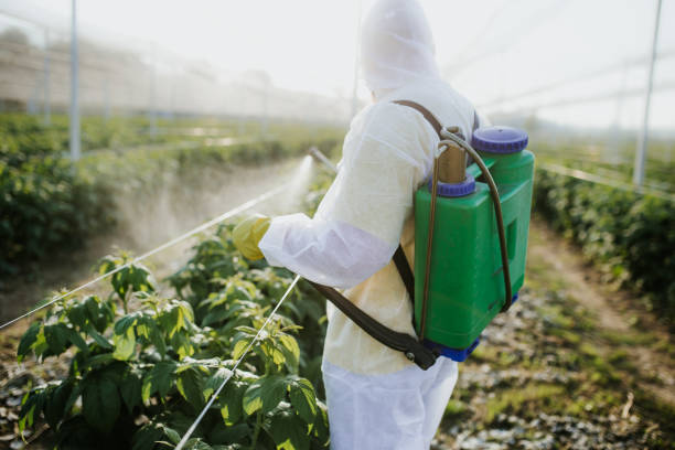 Professional Pest Control in Ellisburg, NJ